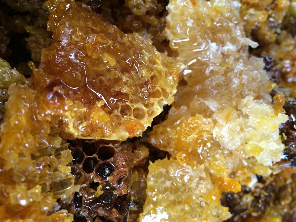 Mật ong Sơn La – Món quà quý cho sức khỏe