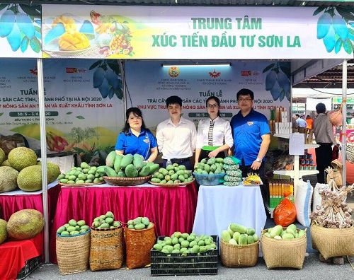 Chi đoàn Sở Kế hoạch và Đầu tư đồng hành cùng Trung tâm xúc tiến đầu tư tại Tuần lễ nông sản tỉnh Sơn La năm 2020