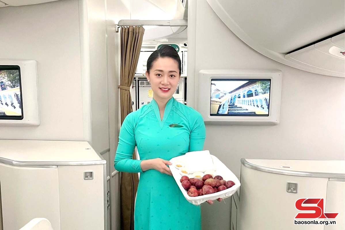 “Mận Sơn La” trở thành bữa ăn trên khay cho hành khách hạng thương gia của Vietnam Airlines